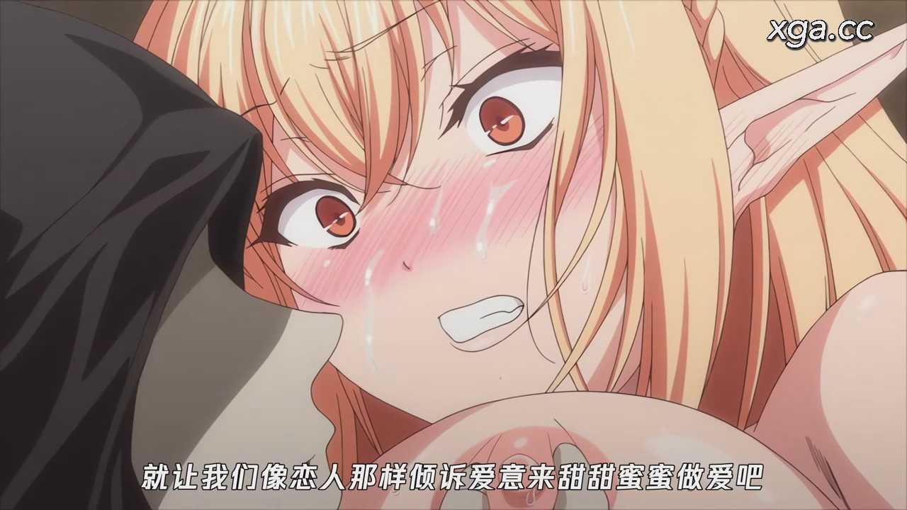 图片[4]-[L2148]エルフに淫紋を付ける本 The Animation LEVEL：2[1080P中文字幕]-XGA动漫