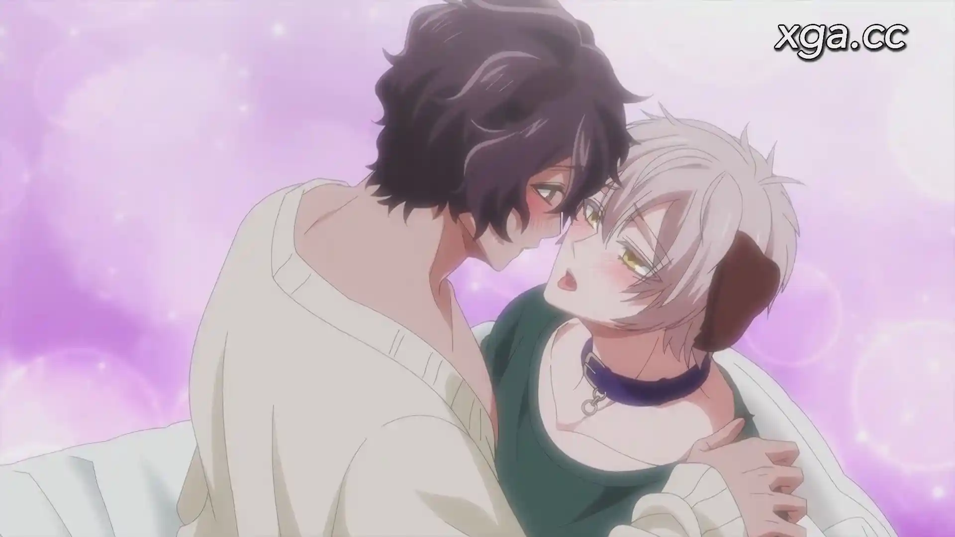 图片[4]-[B1793]森のくまさん、冬眠中[プレミアム版][全9话]-XGA动漫