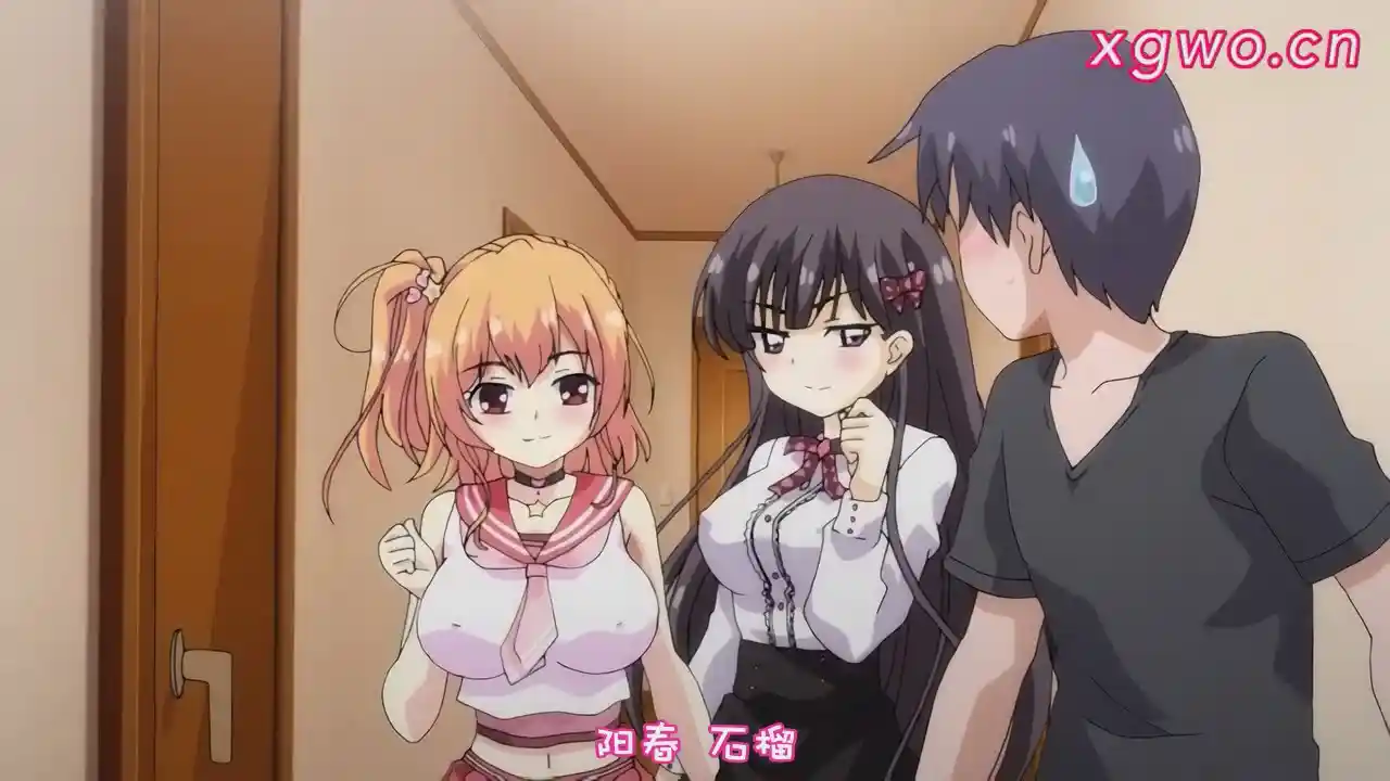 [L1630] 妹ぱらだいす！3 The Animation 上下巻-XGA动漫