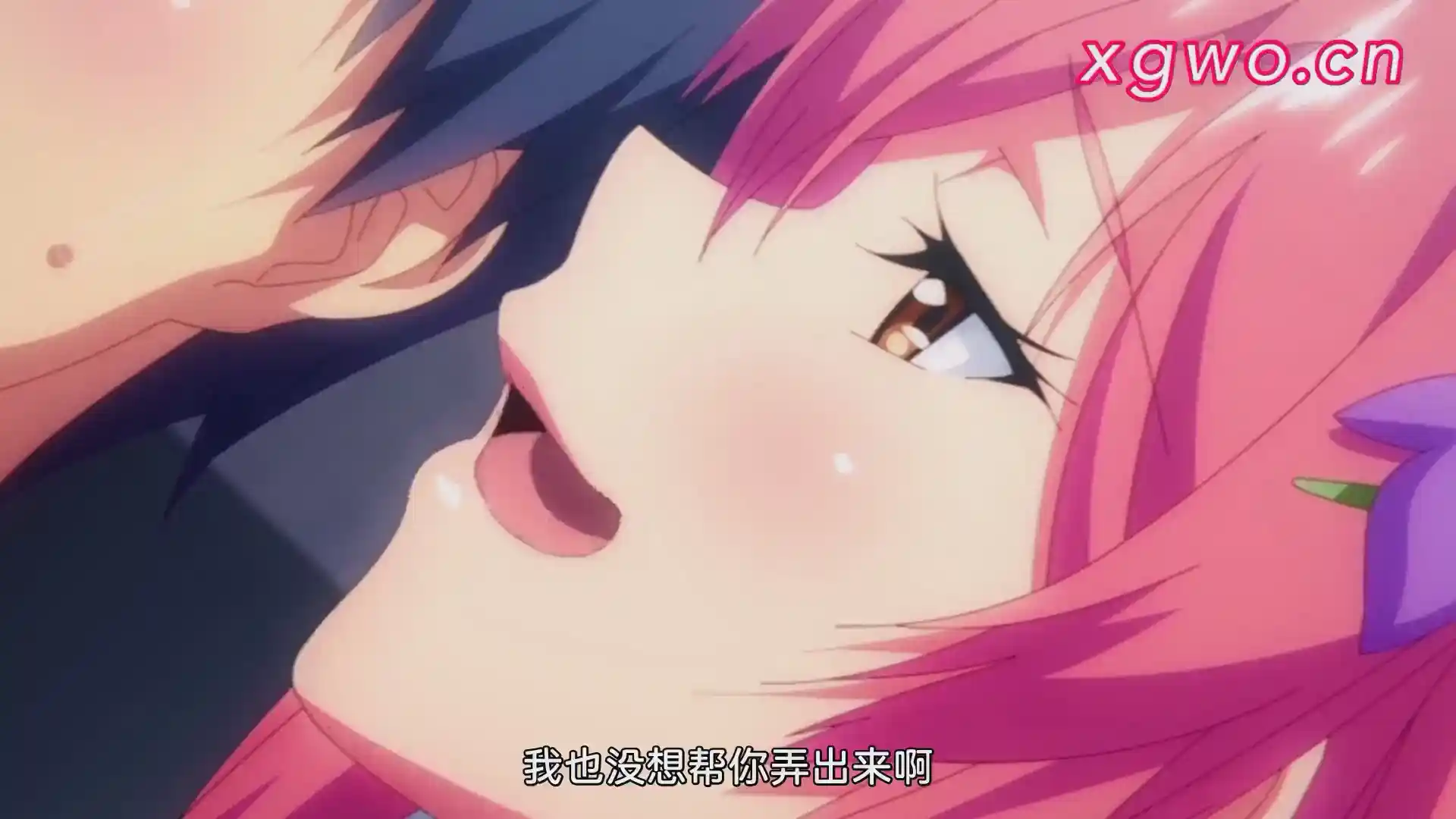 图片[3]-[L1714] Garden ～高嶺家の二輪花～ THE ANIMATION-XGA动漫