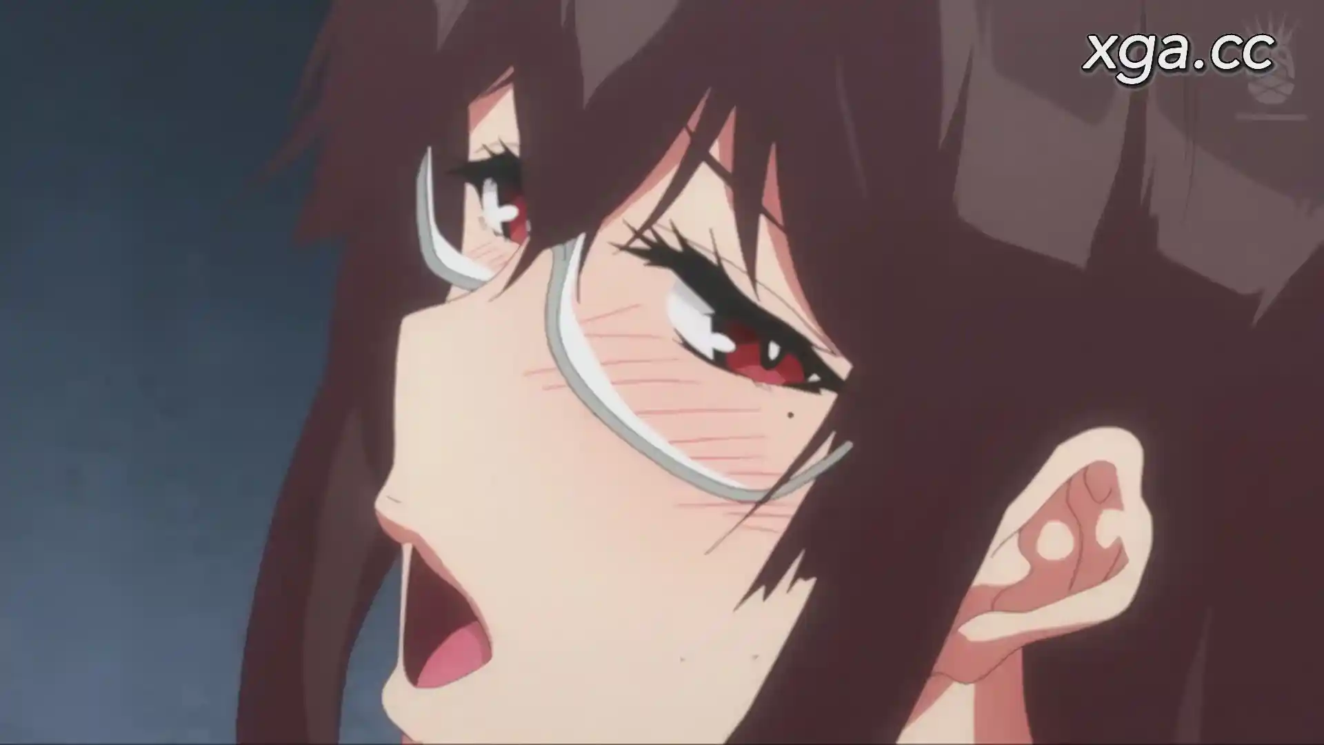 图片[2]-[L1857] サキュバステードライフ THE ANIMATION 全2巻-XGA动漫