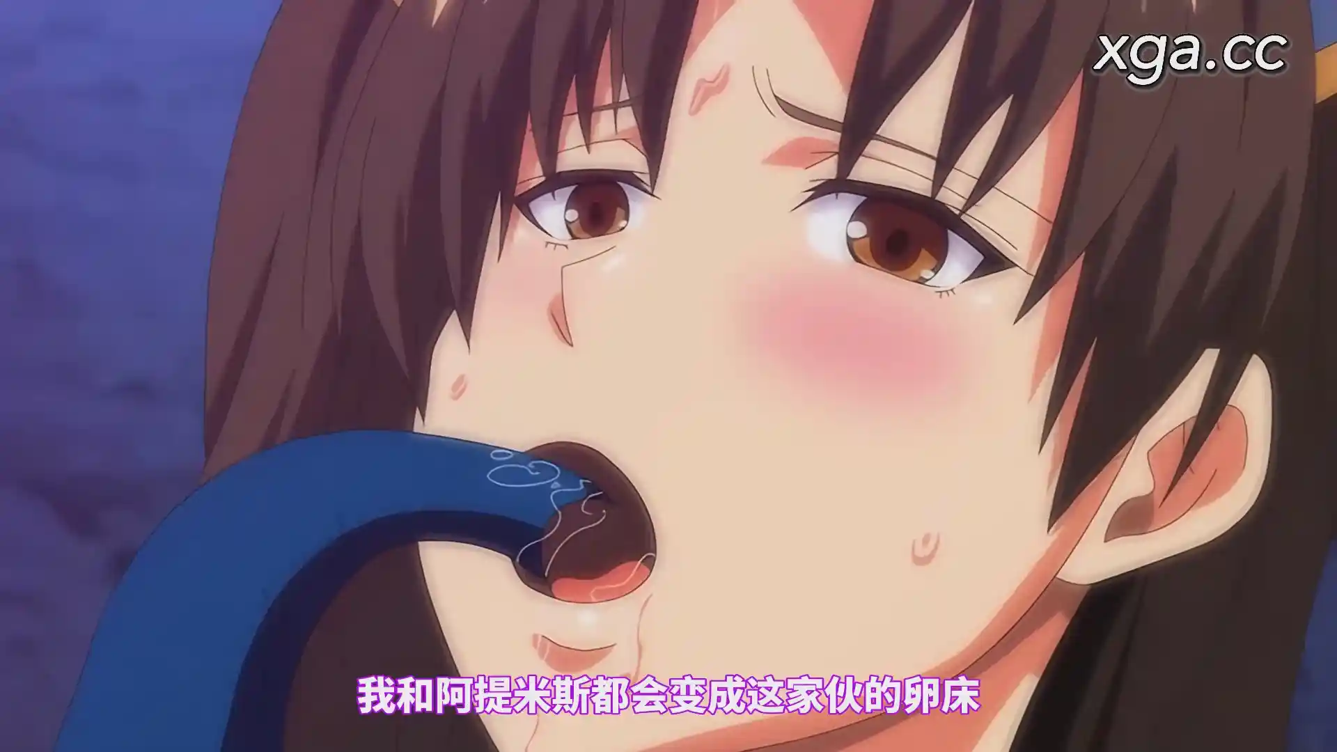 图片[4]-[L1862] 雷光神姫アイギスマギア―PANDRA saga 3rd ignition― The Animation 上巻+下巻-XGA动漫