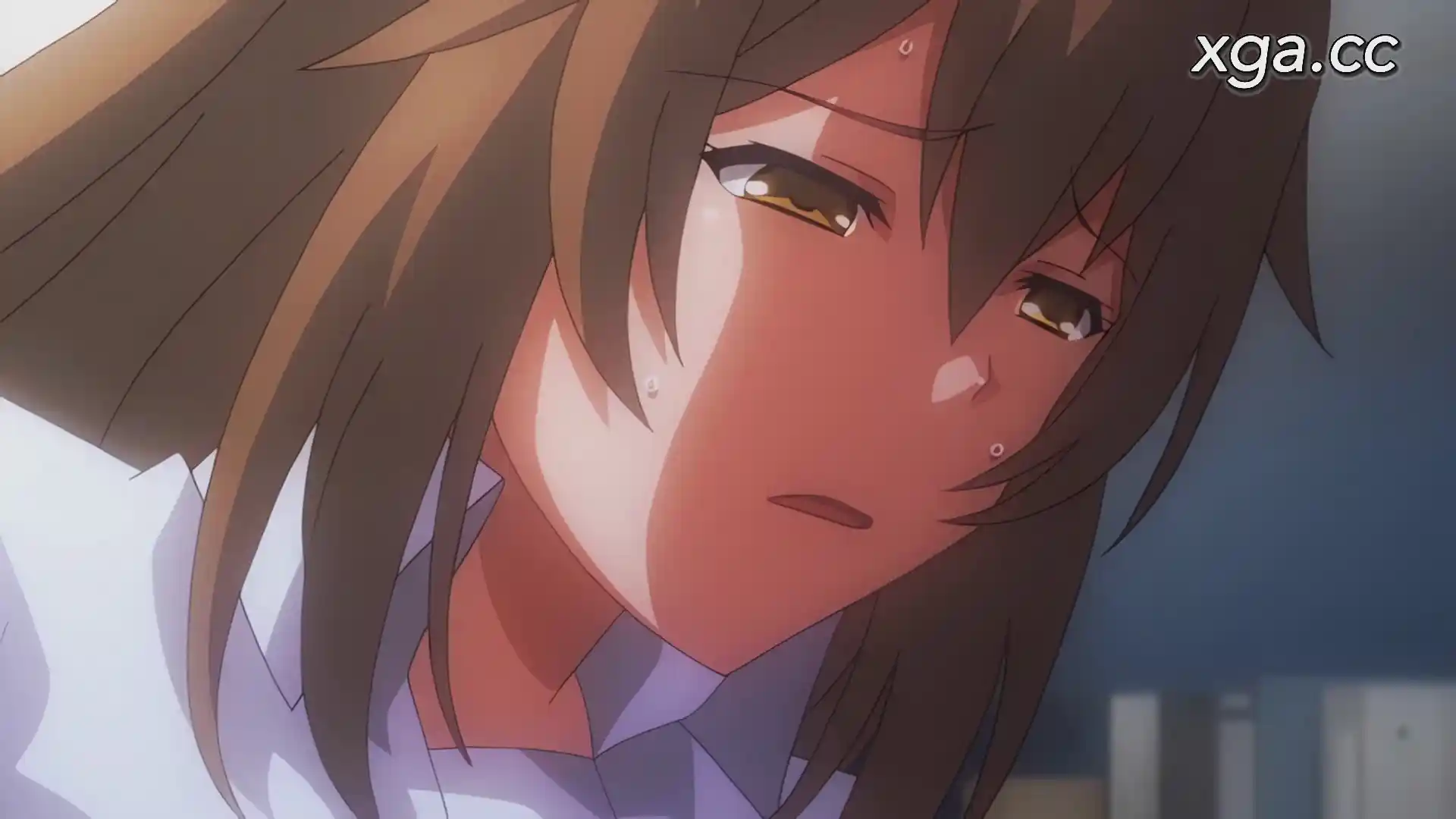 [L1906] 搾精病棟 THE ANIMATION 第4-5巻-XGA动漫