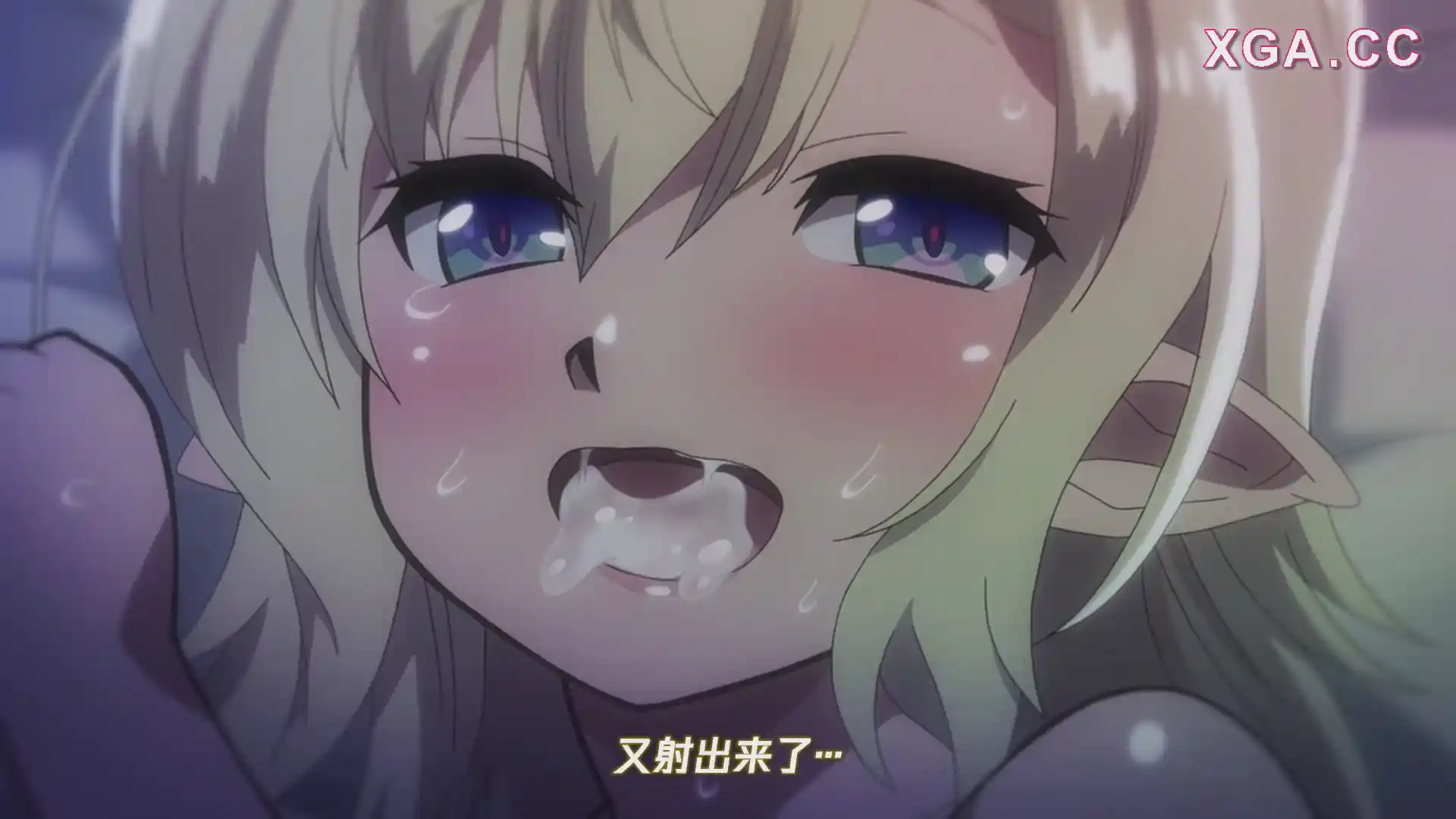 图片[3]-[L1930] OVA スケベエルフ探訪記 ＃1-＃2-XGA动漫