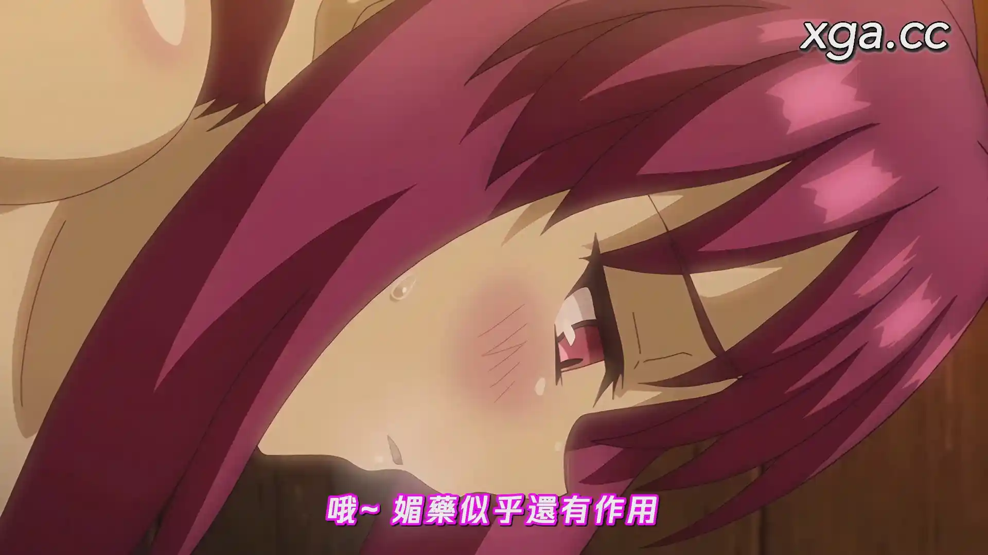 图片[2]-[L1944]くノ一○○伝 紫陽花 第一話 潜入、蒲生邸 媚薬拷問と快楽調教-XGA动漫