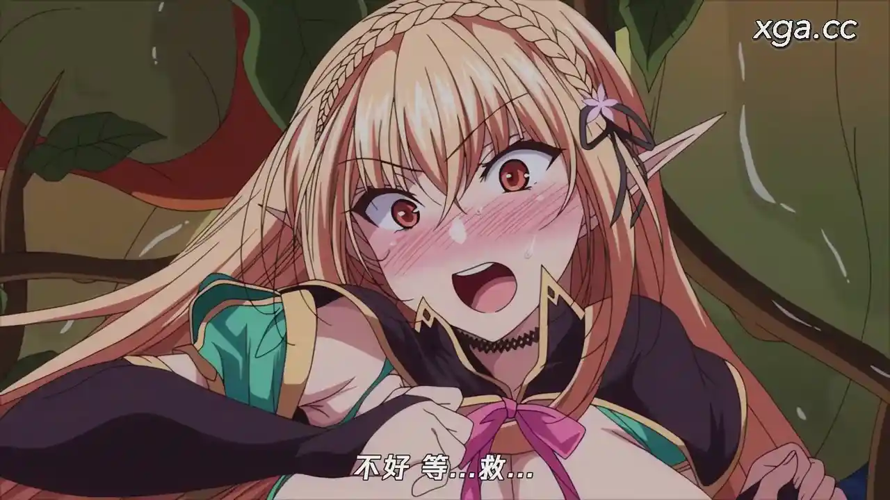 [L2148]エルフに淫紋を付ける本 The Animation LEVEL：2[1080P中文字幕]-XGA动漫