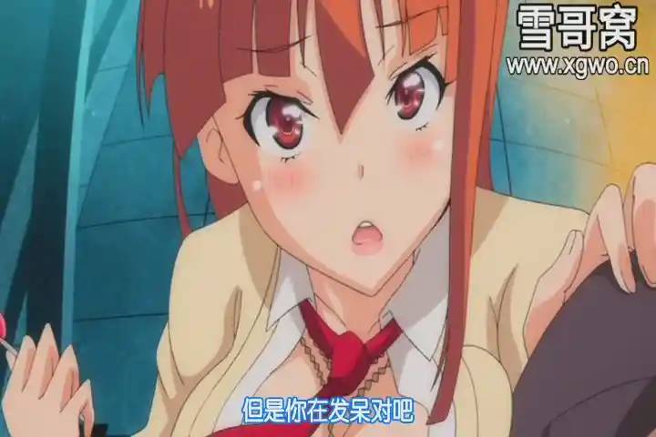 [dm169]《新圣乱交穴学园 援交日记》全2集百度网盘下载-XGA动漫