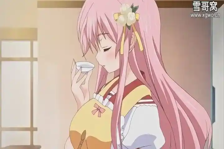 图片[3]-[dm327]《妹ぱらだいす！2》全2集百度网盘下载【2020/02/09补】-XGA动漫