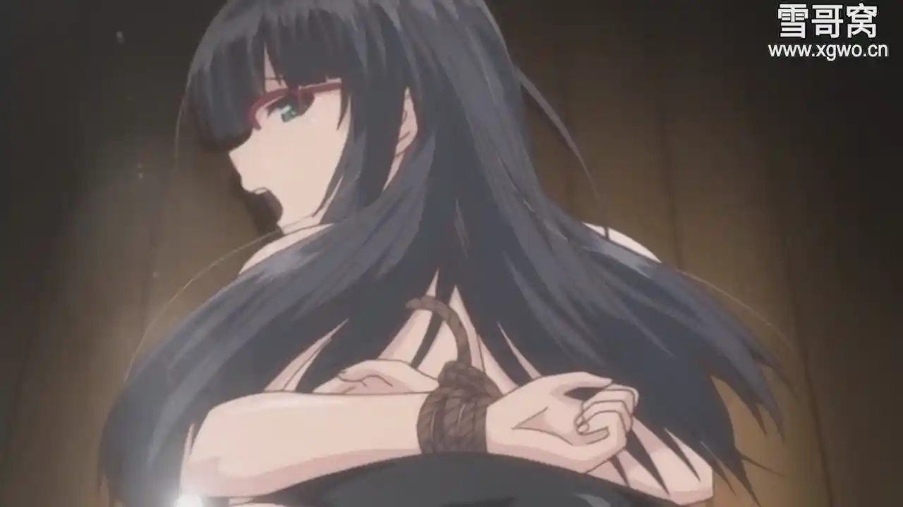 图片[2]-[dm337]《难以启齿的秘密》百度网盘下载-XGA动漫