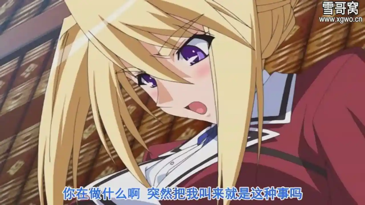 图片[3]-[dm369]OVAプリンセスラバー! 全2话-XGA动漫