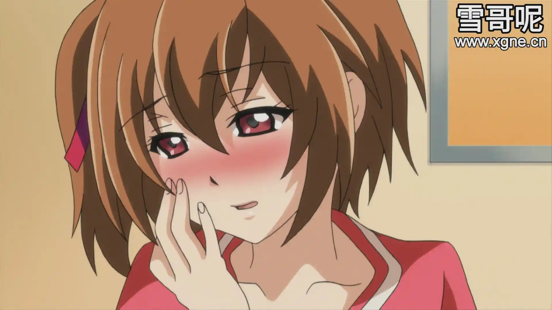 [dm49]《乙女姬～悟君～》百度网盘下载-XGA动漫