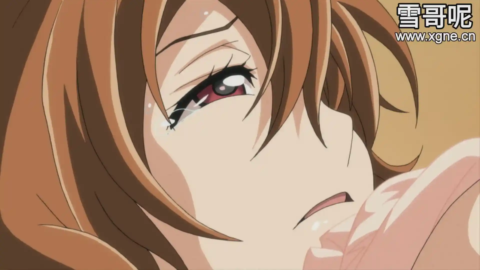 图片[3]-[dm49]《乙女姬～悟君～》百度网盘下载-XGA动漫