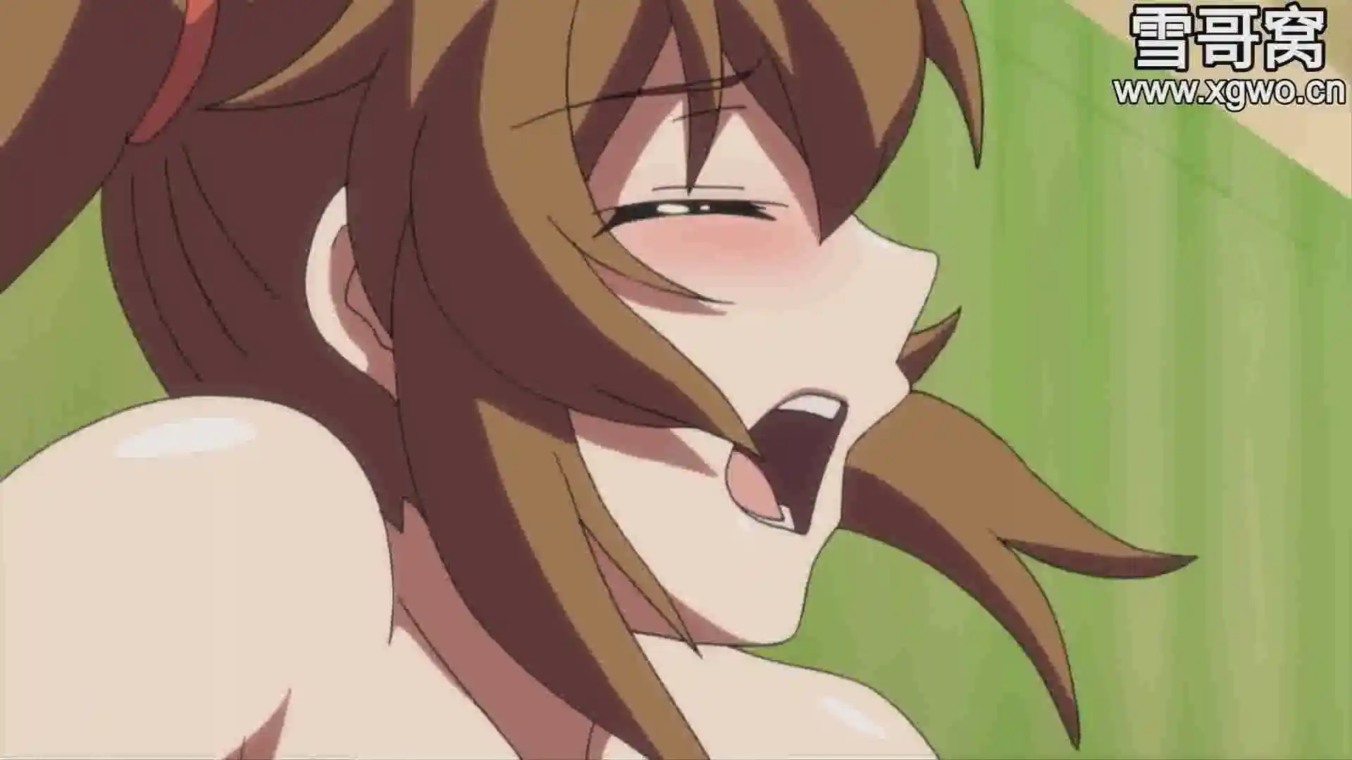 图片[3]-[dm91]《姉キョン～家里来了女孩子～》百度网盘下载【2021/01/02重新打包补档】-XGA动漫